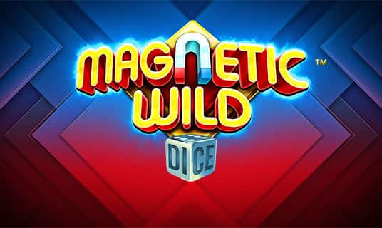 Magnetic Wild Dice